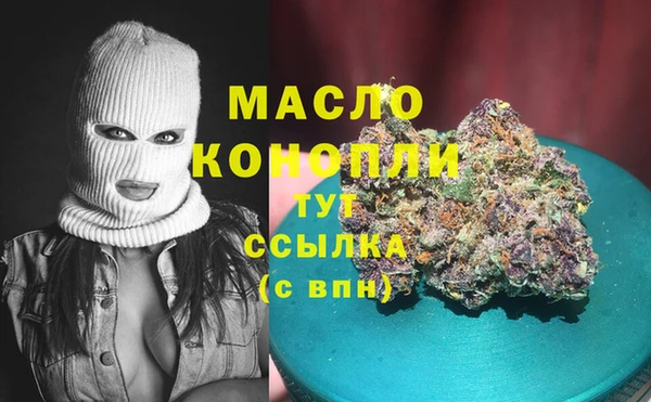СК Каменка