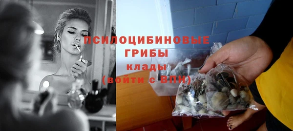 не бодяженный Каменногорск