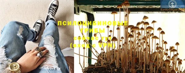 СК Каменка
