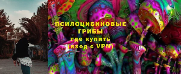СК Каменка