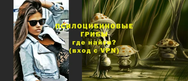 не бодяженный Каменногорск