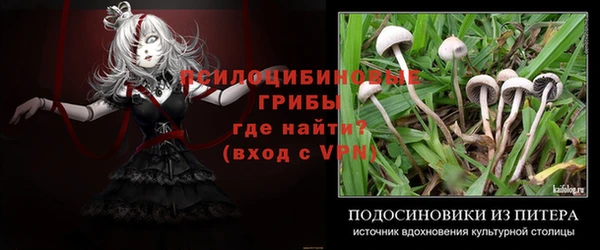не бодяженный Каменногорск
