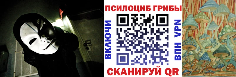 Купить закладки  Велиж  Псилоцибиновые грибы Cubensis 